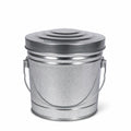 6 Gallon Galvanized Steel Can with Locking Lid Z345186