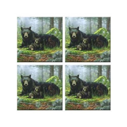 Set of 4 Coasters O907