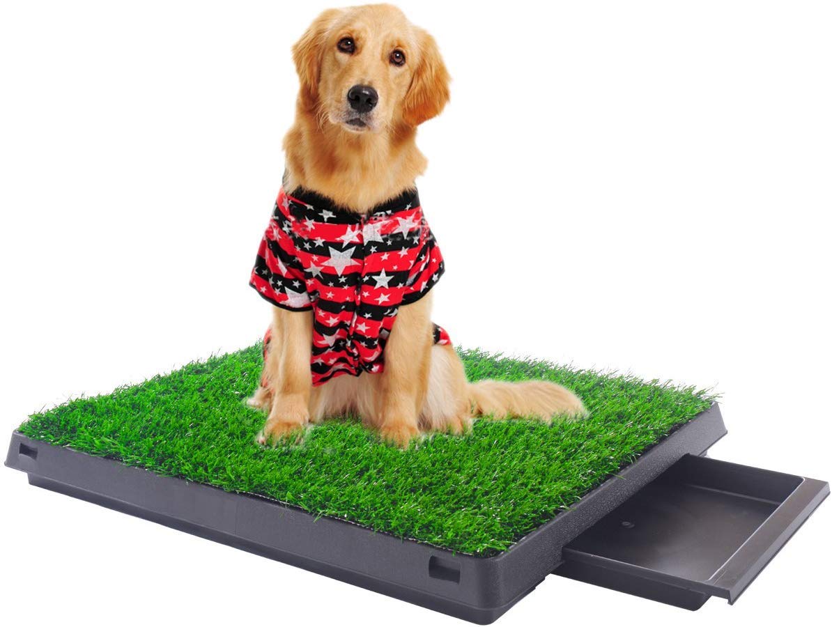 Indoor Outdoor Dog Puppy Potty Trainer Pad Grass Toilet Mat Tray 25"x20" V131