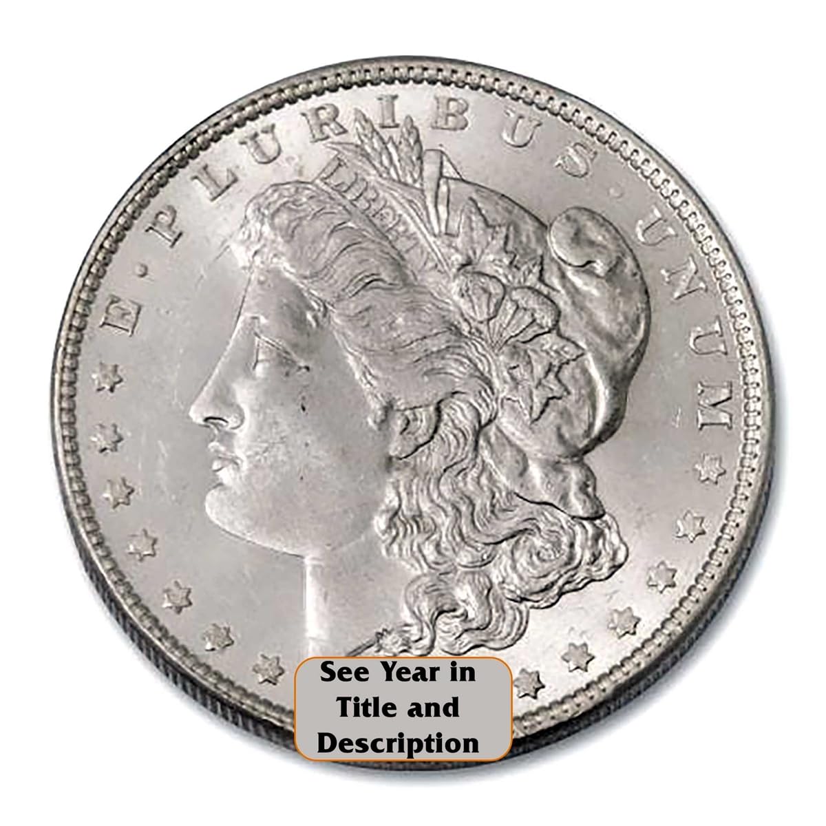 Morgan Silver Dollar H511