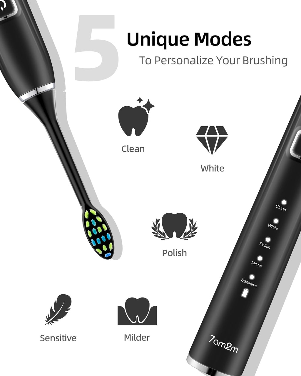 Sonic Electric Toothbrush with 12 Brush Heads, 2 Pack N483