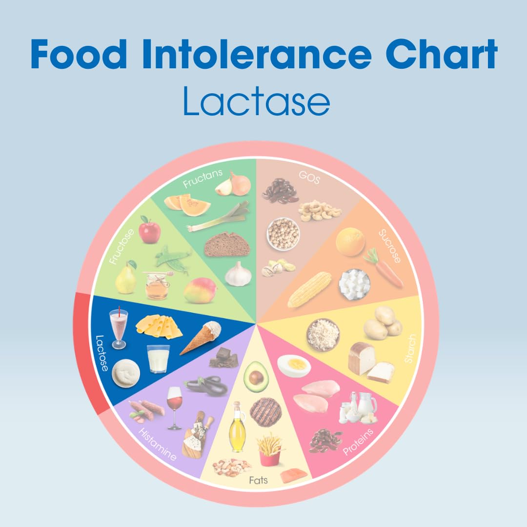 Lactase Digestive Enzymes 6 Scored Tablets X683775