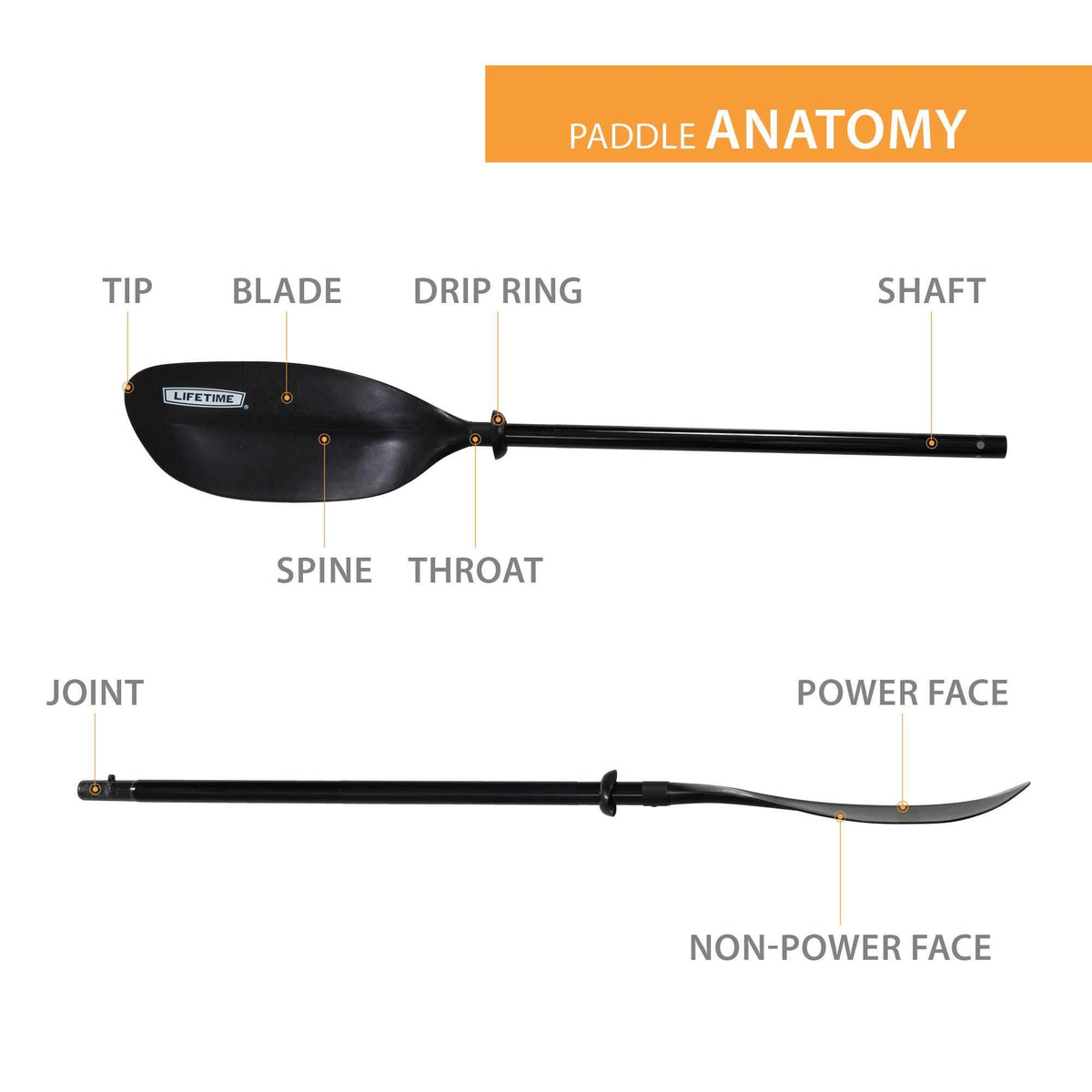 Black Kayak Paddle B8539
