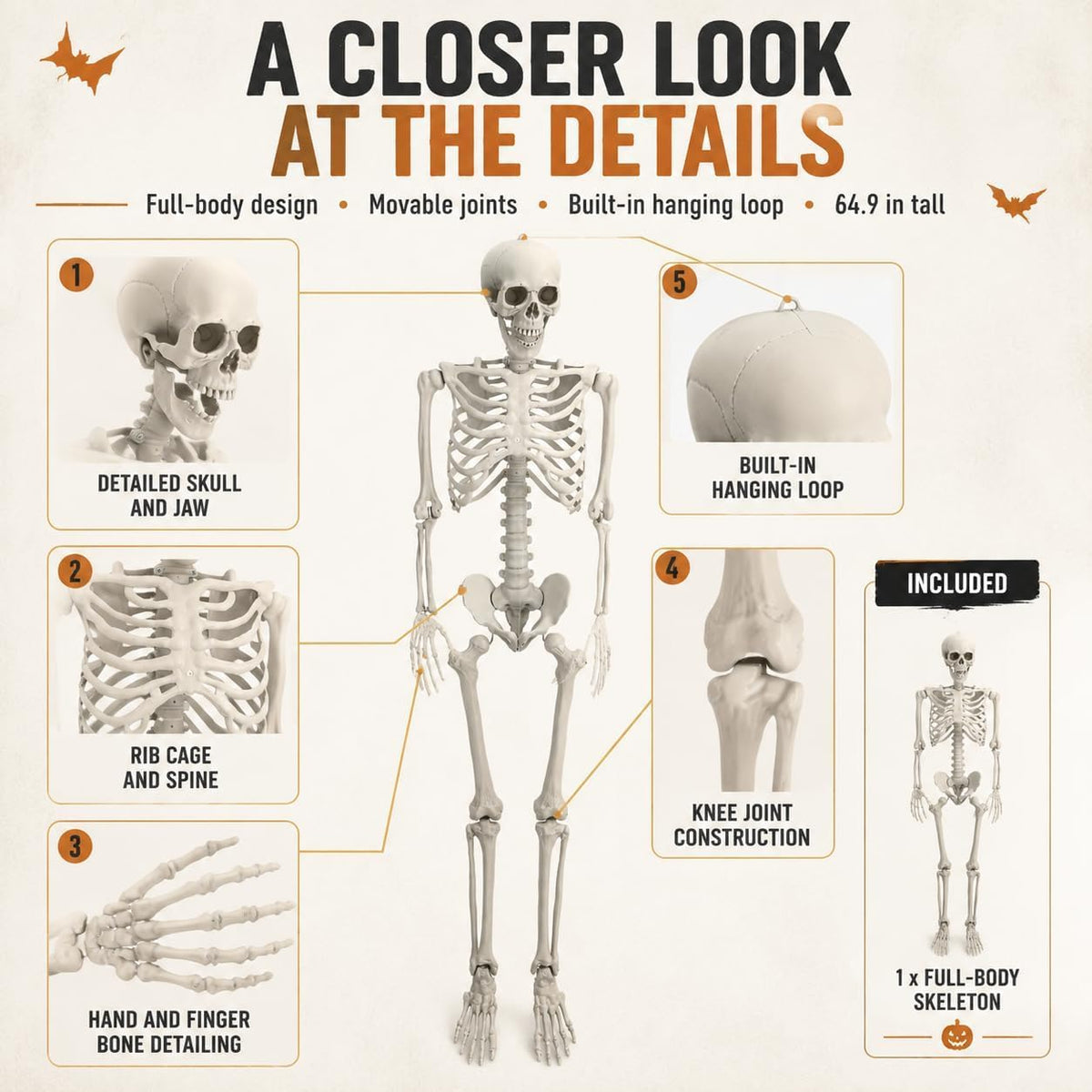 Life Size Posable Skeleton Prop Decoration K475