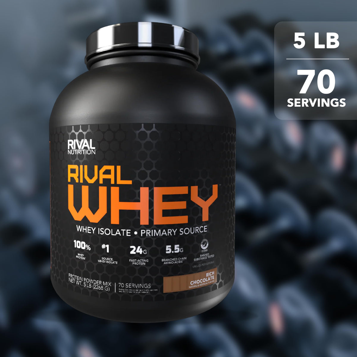 Whey Rich Chocolate 5lb R6318