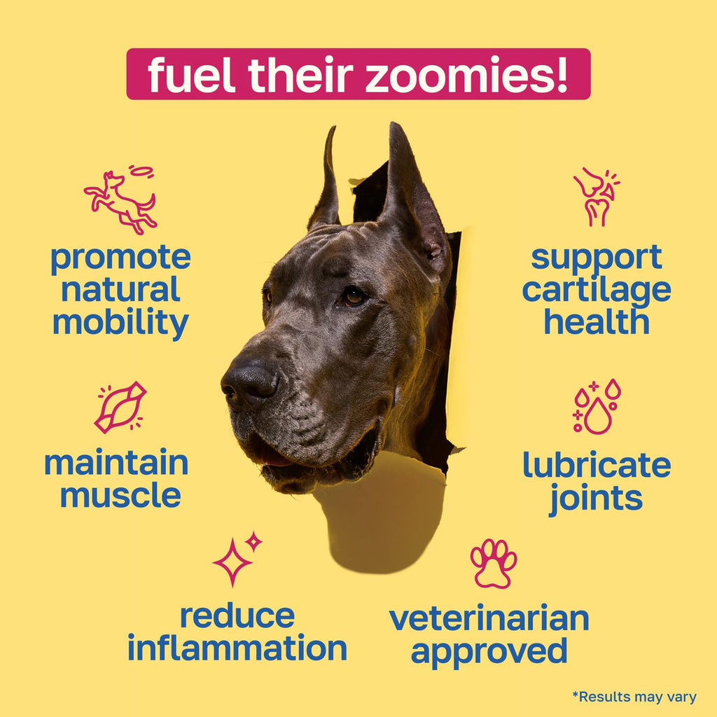 Hip and Joint Supplement for Dogs, 200 Soft Chews F3899