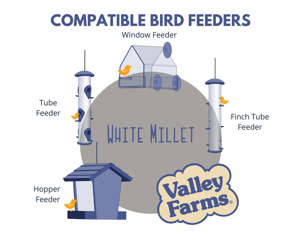 White Millet Wild Bird Seed 20 LB M7901