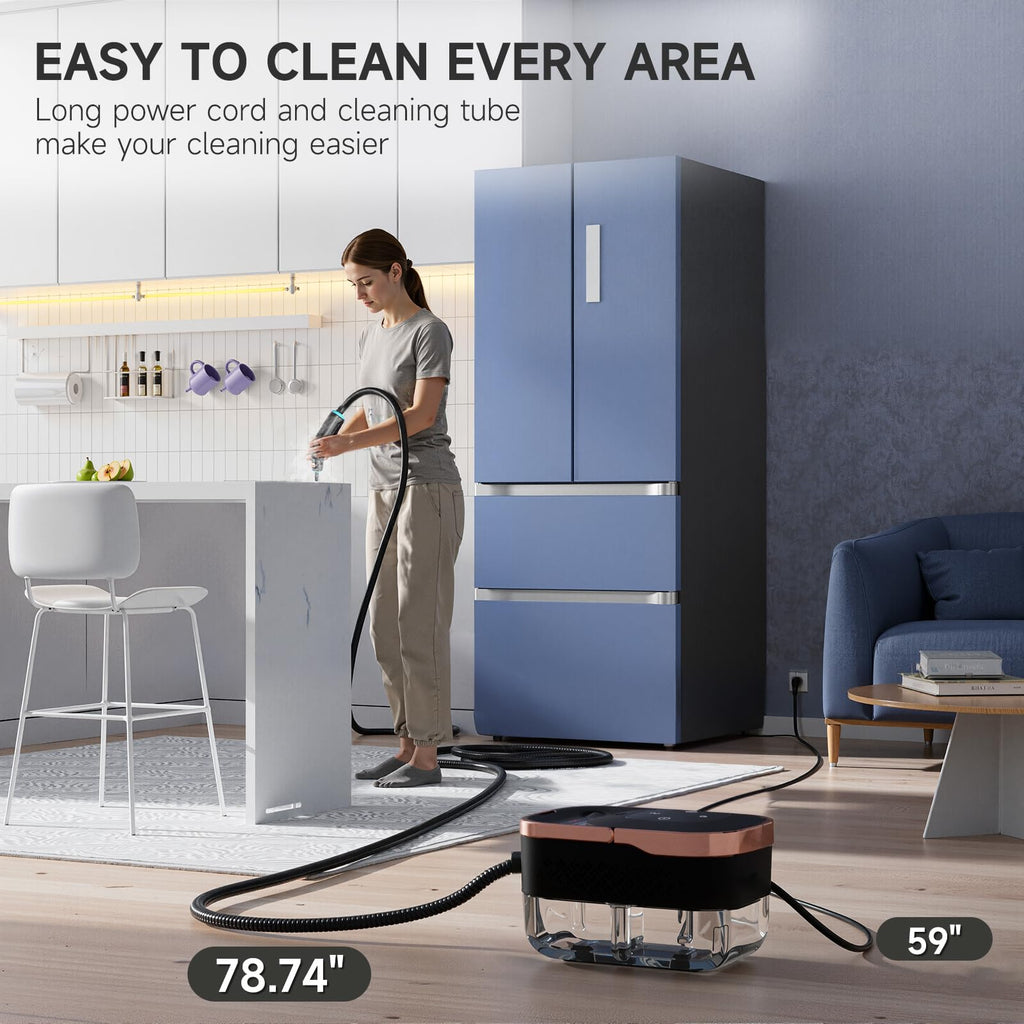 Steam Cleaner with Replacement Heads H76164