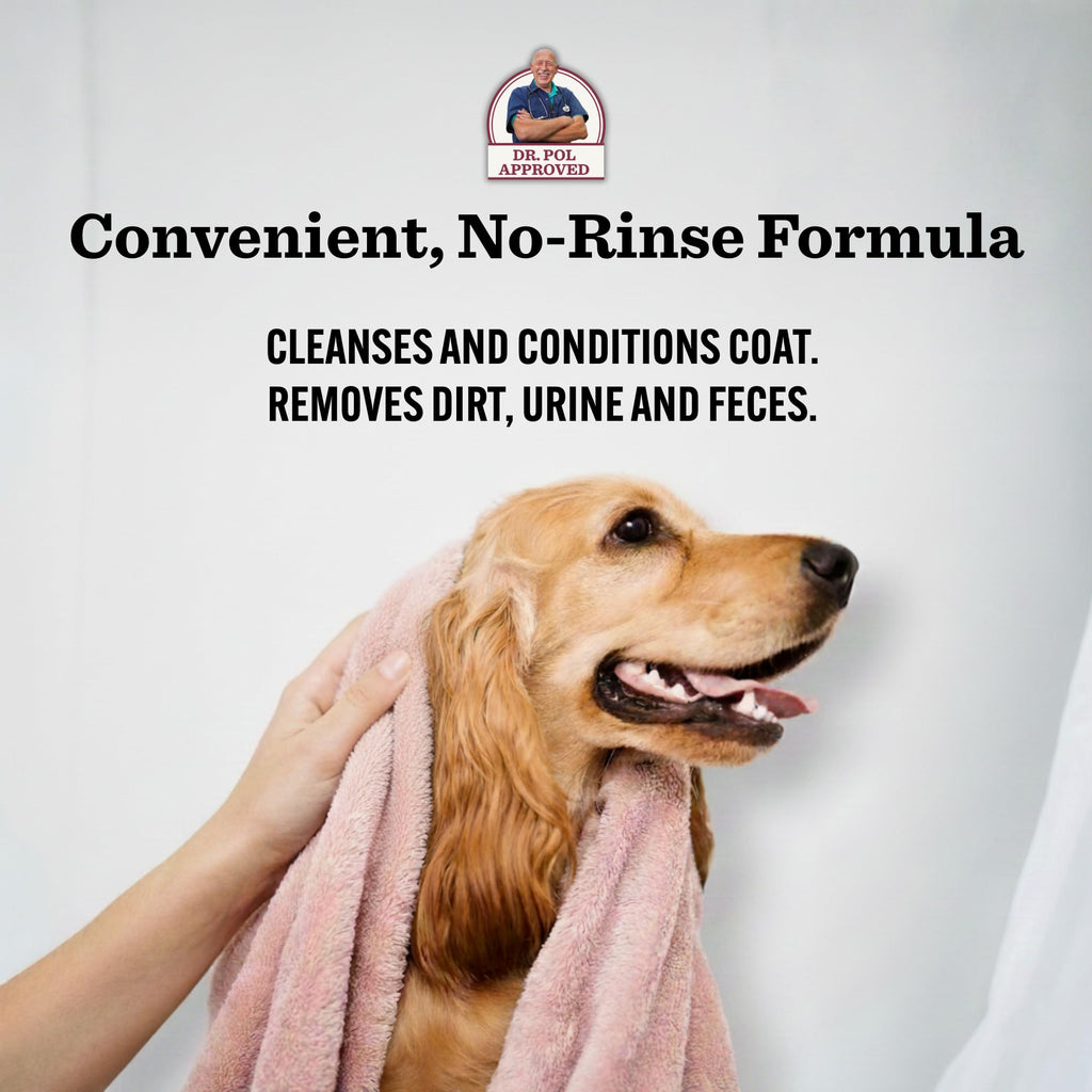 Lavender 16 oz Waterless Dog Shampoo K7092