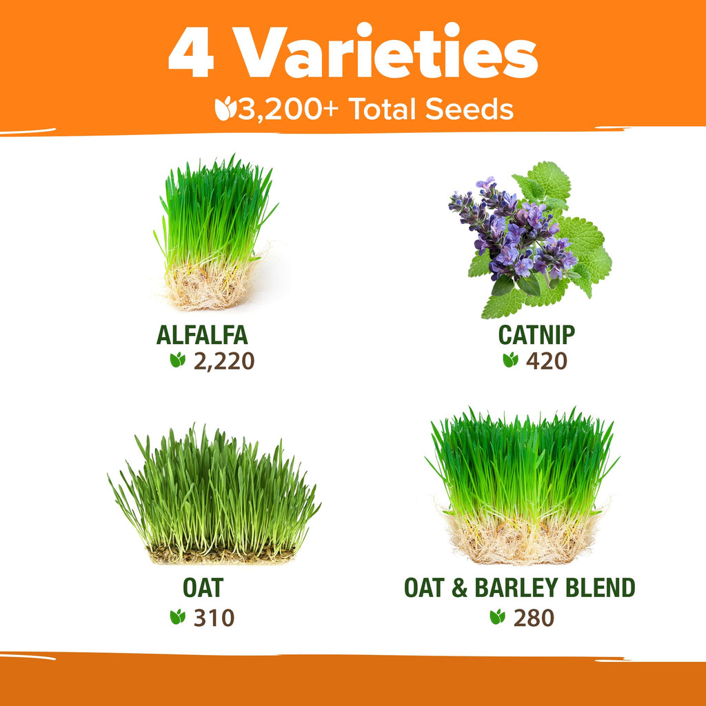 Indoor Cat Grass Refill 3,200+ Seeds G6360
