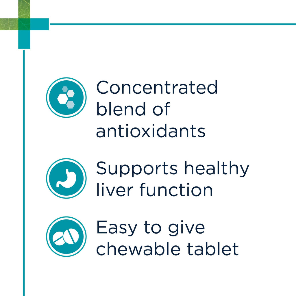 Chewable Tablet with S-Adenosyl-L-Methionine, Vitamin E and Siliphos, 30 Tablets O1558