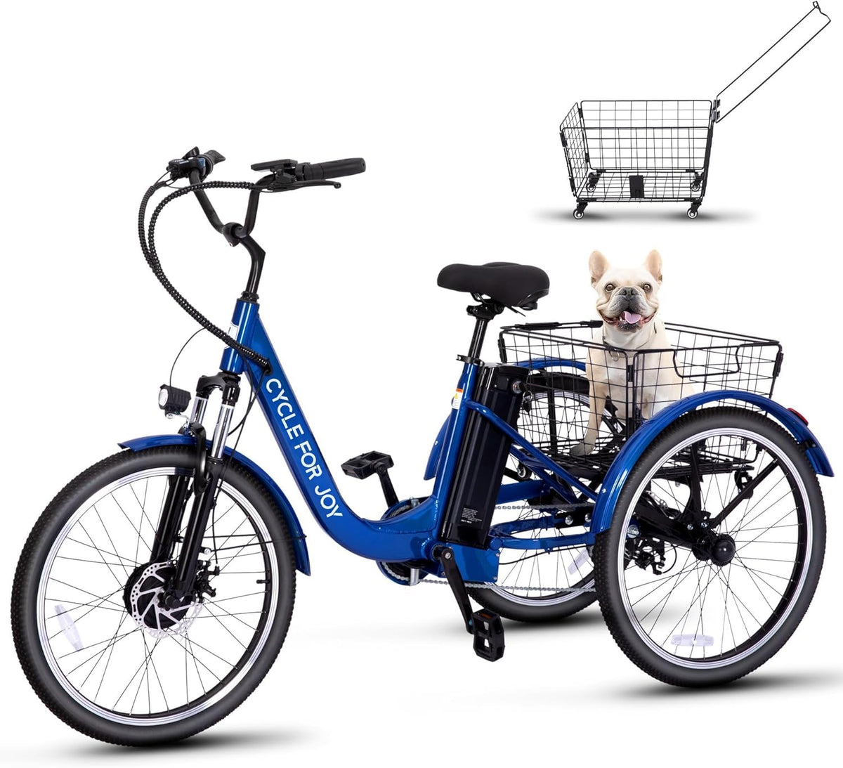3 Wheel Electric Tricycle P9355