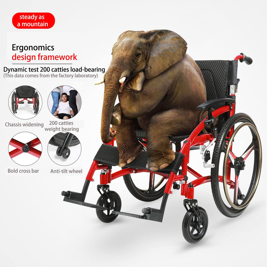 Folding Transport Wheelchair with Detachable Full Arms and Elevating Leg Rest C3161