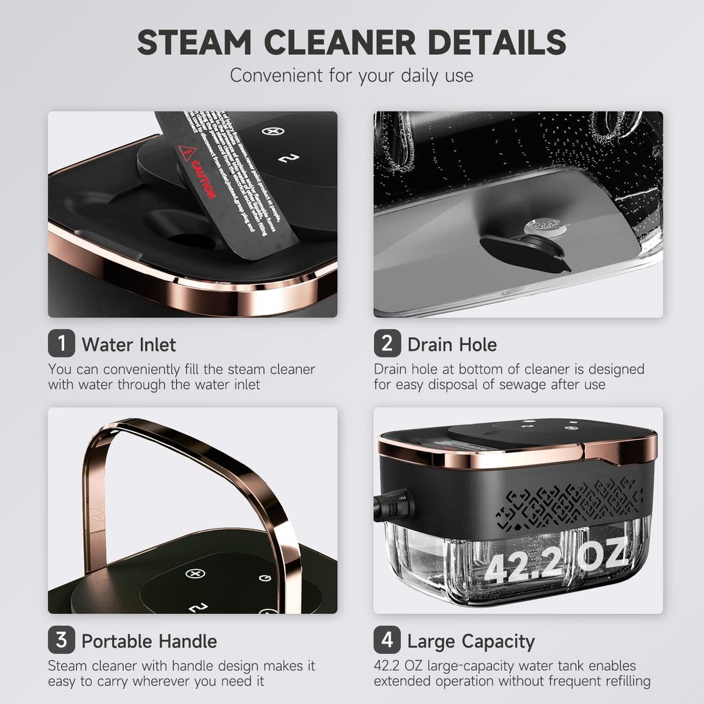Steam Cleaner with Replacement Heads H76164
