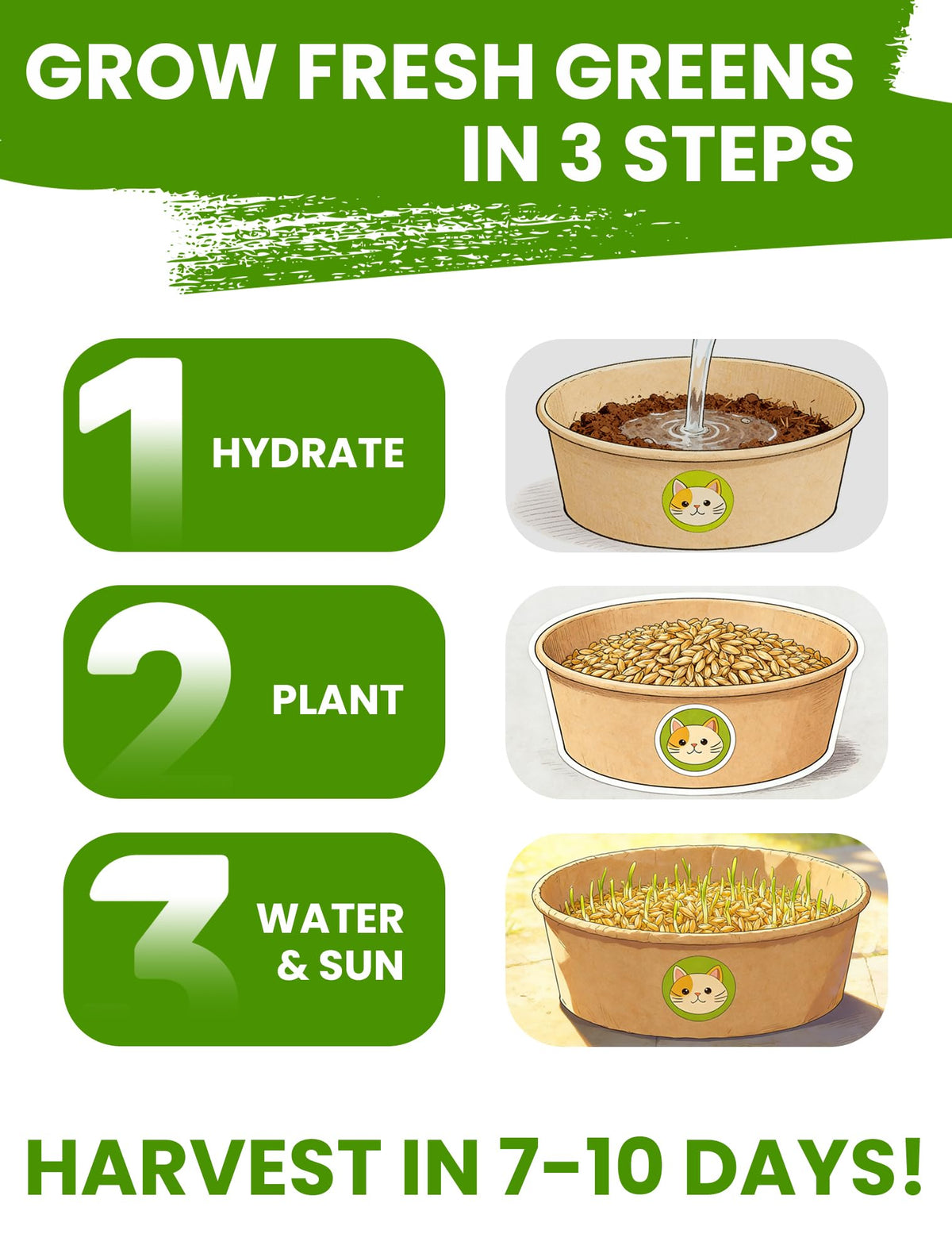 3 Pack Cat Grass Kit with Biodegradable Pots, Soil & Seeds W238131