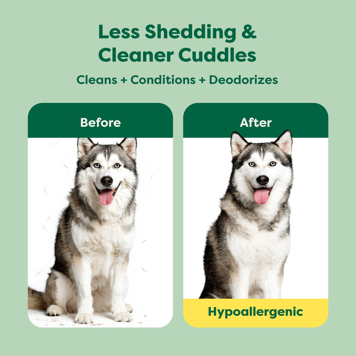 Hypoallergenic Dog Shampoo & Conditioner, 16 oz J9698