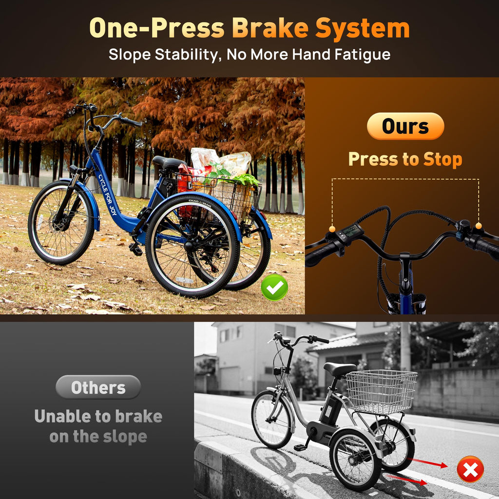 3 Wheel Electric Tricycle P9355