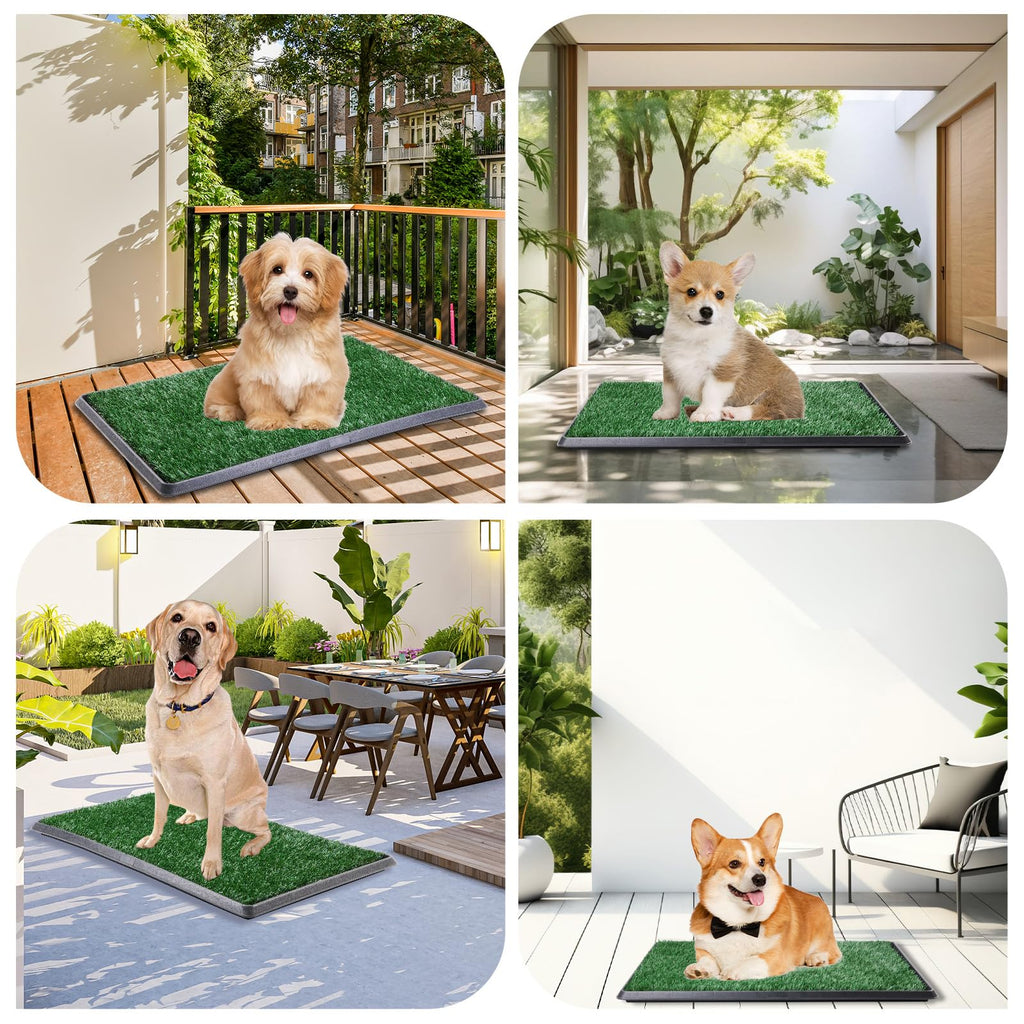 Dog Grass Pad with Tray 16x20in O580132