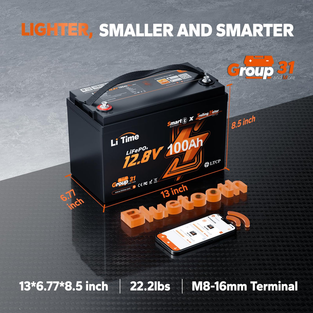 12V 100Ah LiFePO4 Battery with Charger T228