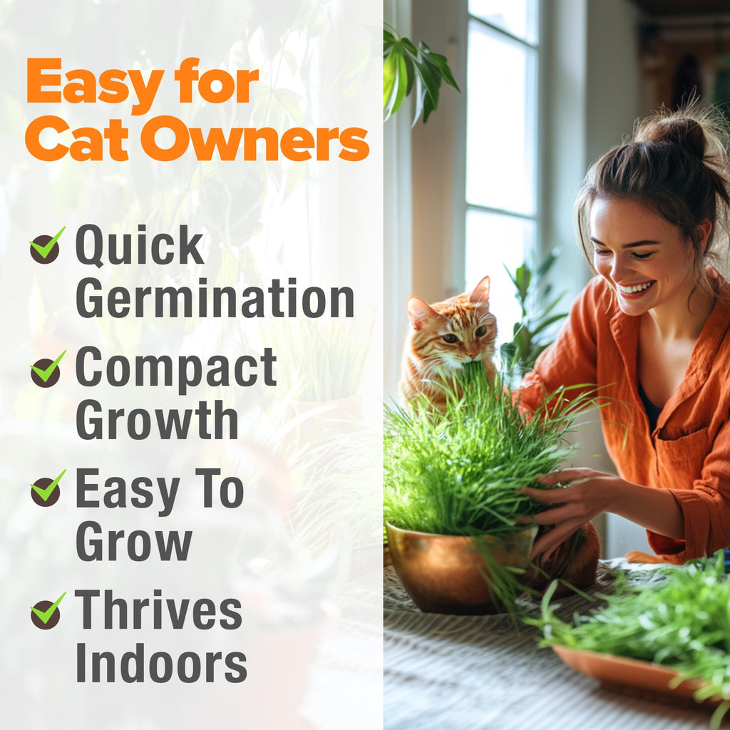 Indoor Cat Grass Refill 3,200+ Seeds G6360