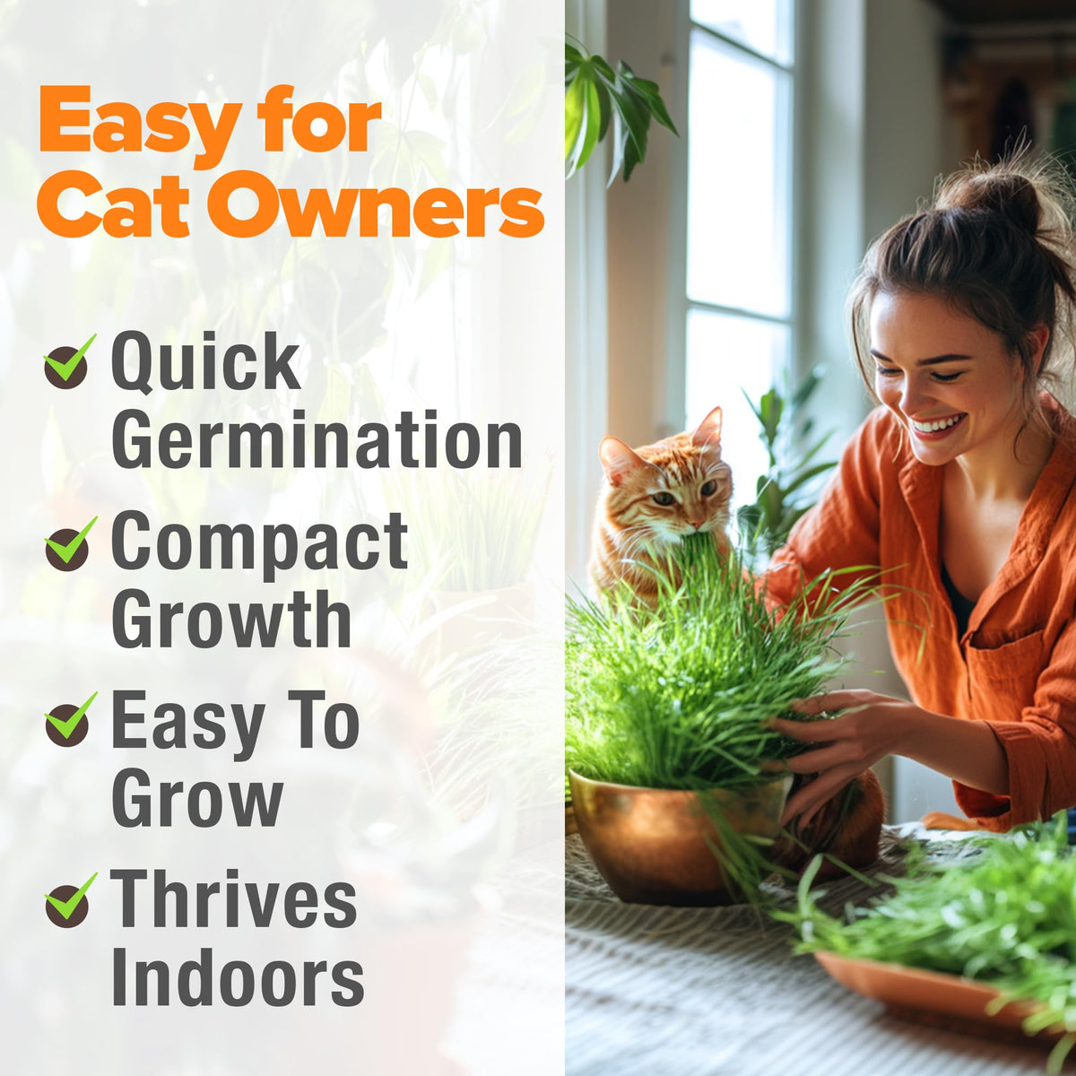 Indoor Cat Grass Refill 3,200+ Seeds G6360