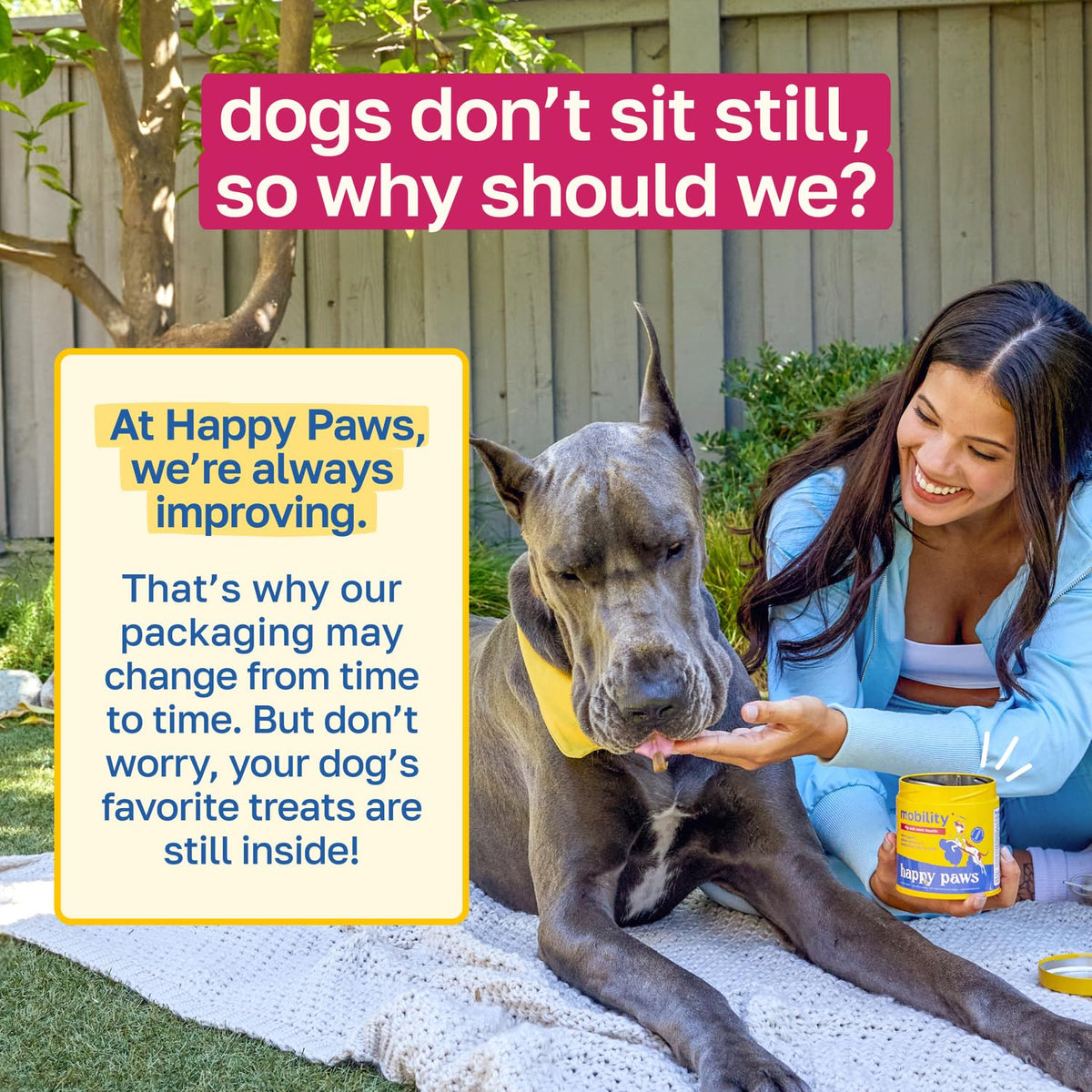 Hip and Joint Supplement for Dogs, 200 Soft Chews F3899