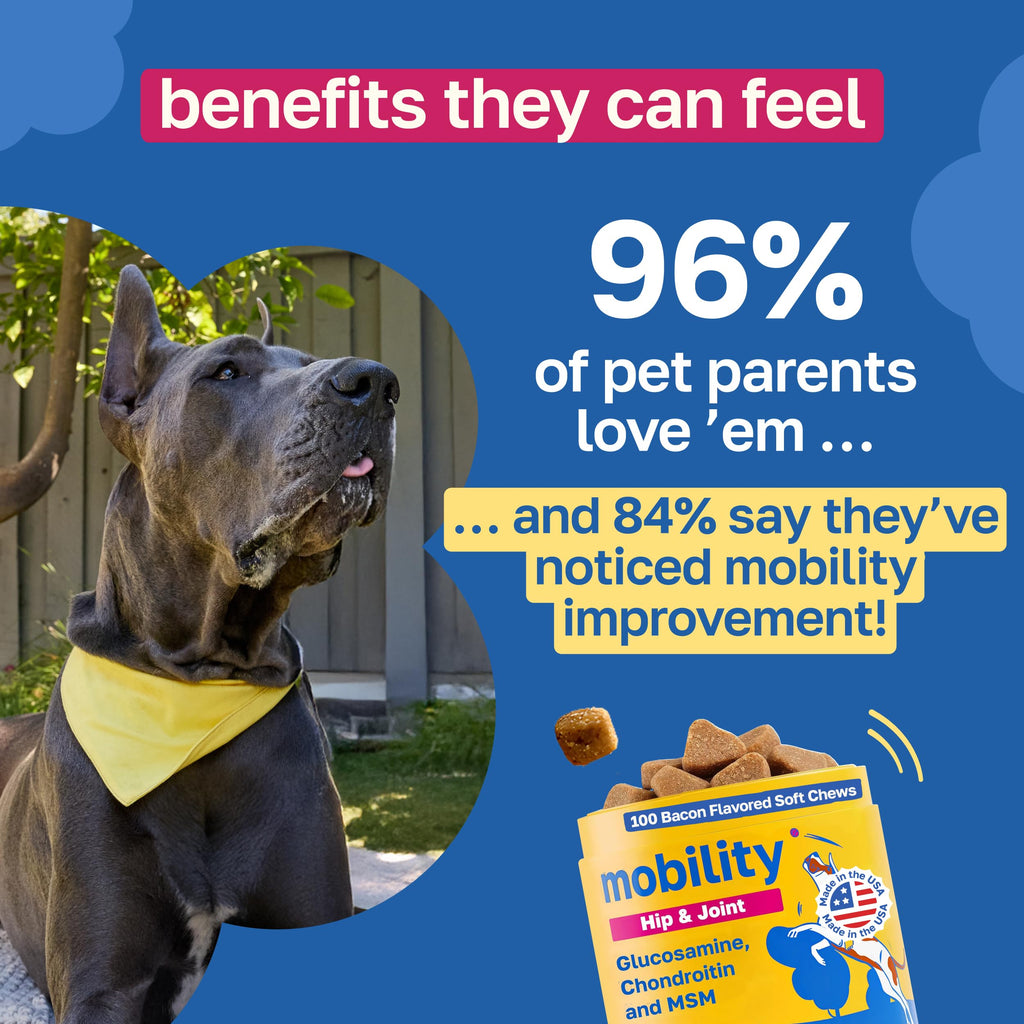 Hip and Joint Supplement for Dogs, 200 Soft Chews F3899