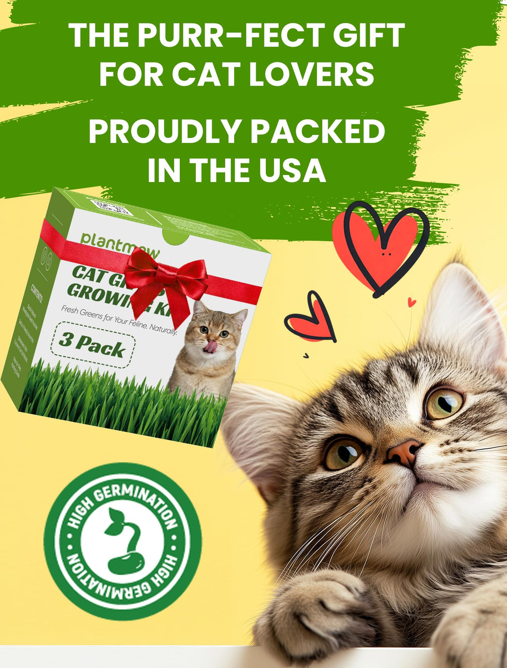 3 Pack Cat Grass Kit with Biodegradable Pots, Soil & Seeds W238131