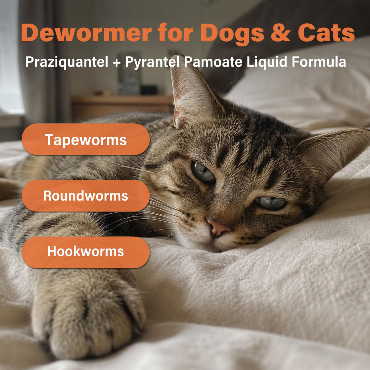 Dewormer for Dogs and Cats 3.38 fl oz Y8405