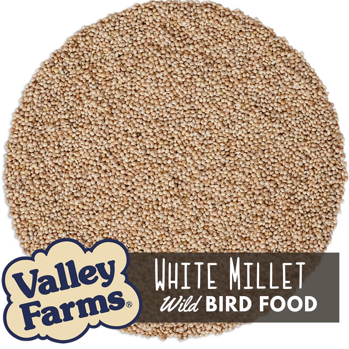 White Millet Wild Bird Seed 20 LB M7901