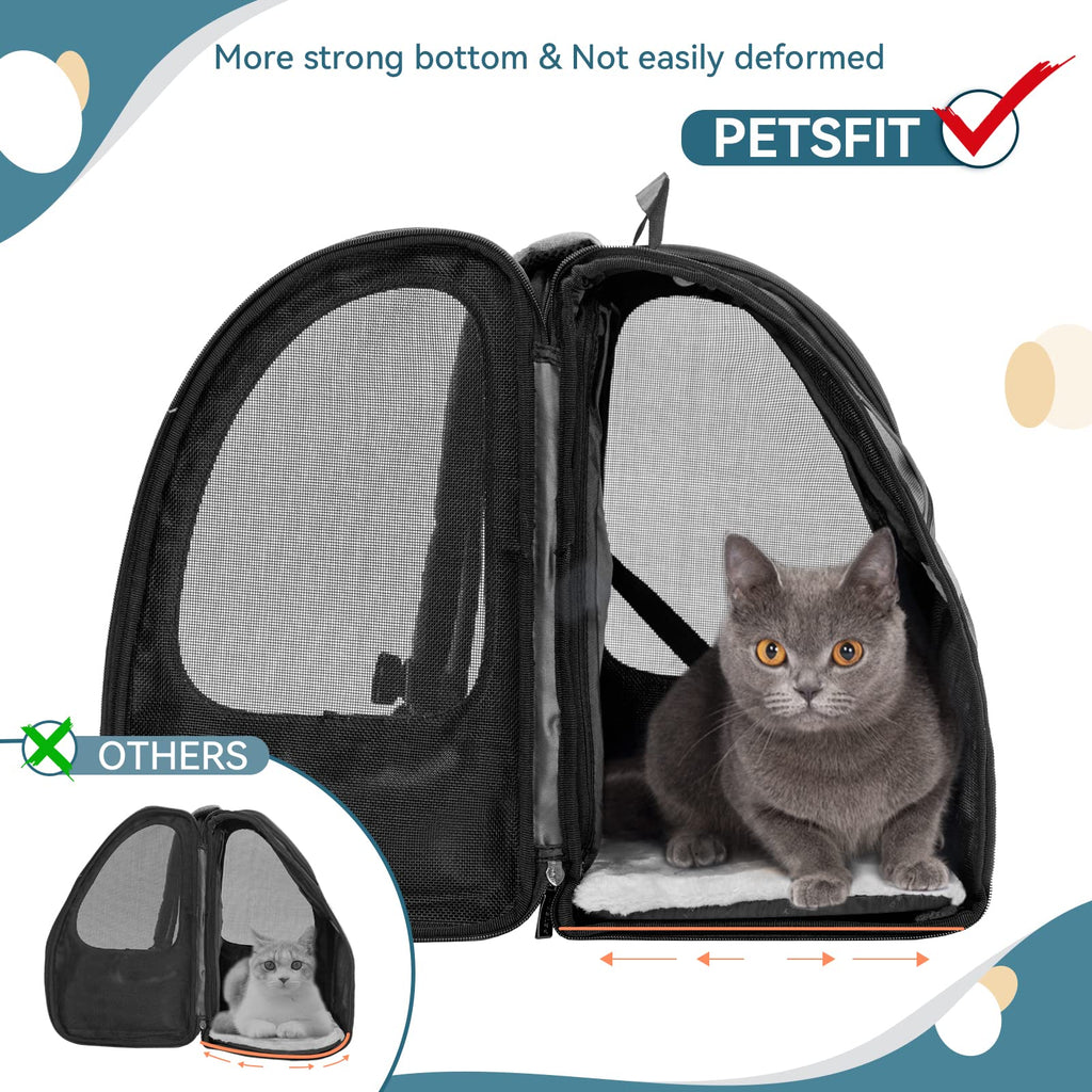 Dog Backpack Carrier with Fleece Mat N332295