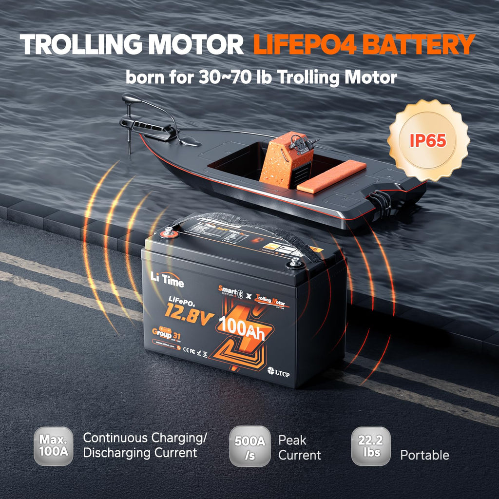 12V 100Ah LiFePO4 Battery with Charger T228