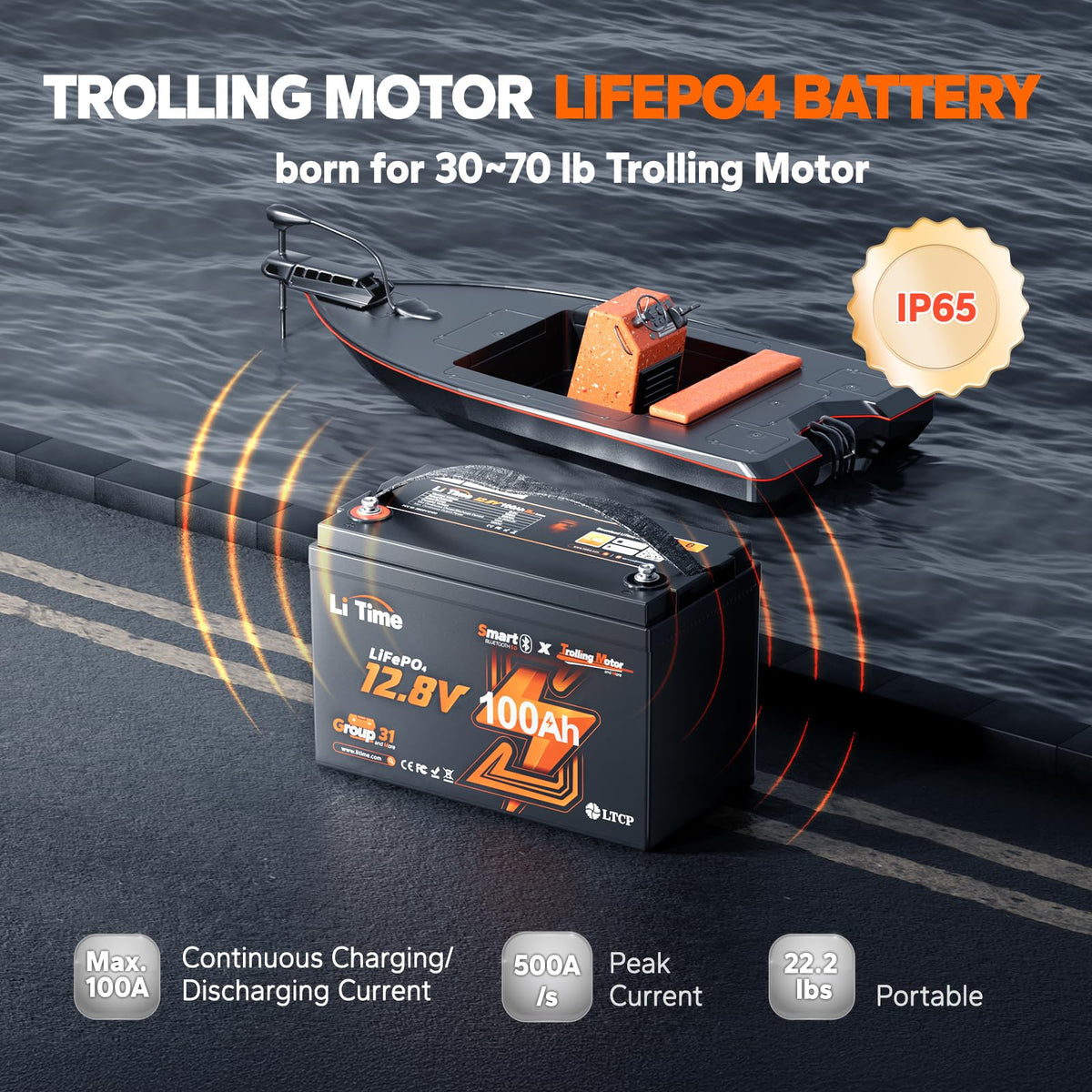 12V 100Ah LiFePO4 Battery with Charger T228