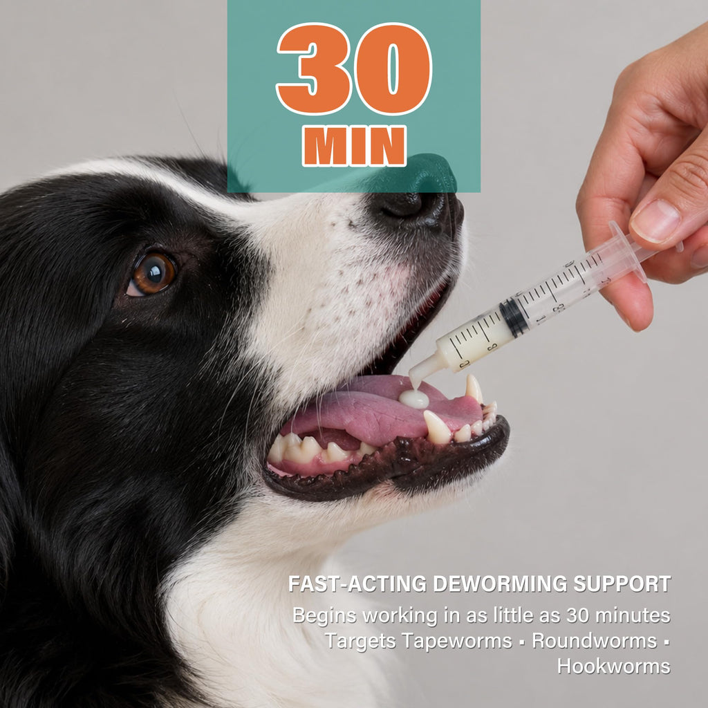 Dewormer for Dogs and Cats 3.38 fl oz Y8405