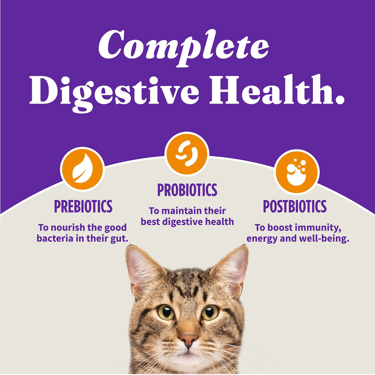 Indoor Dry Cat Food Cage-Free Chicken 6 lb G317359