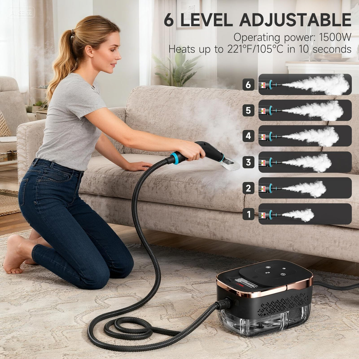 Steam Cleaner with Replacement Heads H76164