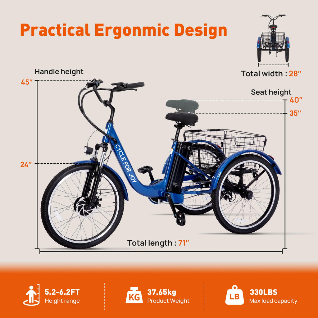 3 Wheel Electric Tricycle P9355