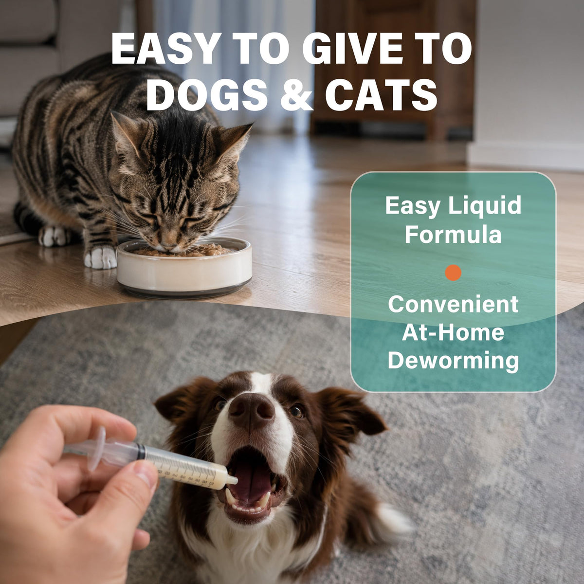 Dewormer for Dogs and Cats 3.38 fl oz Y8405