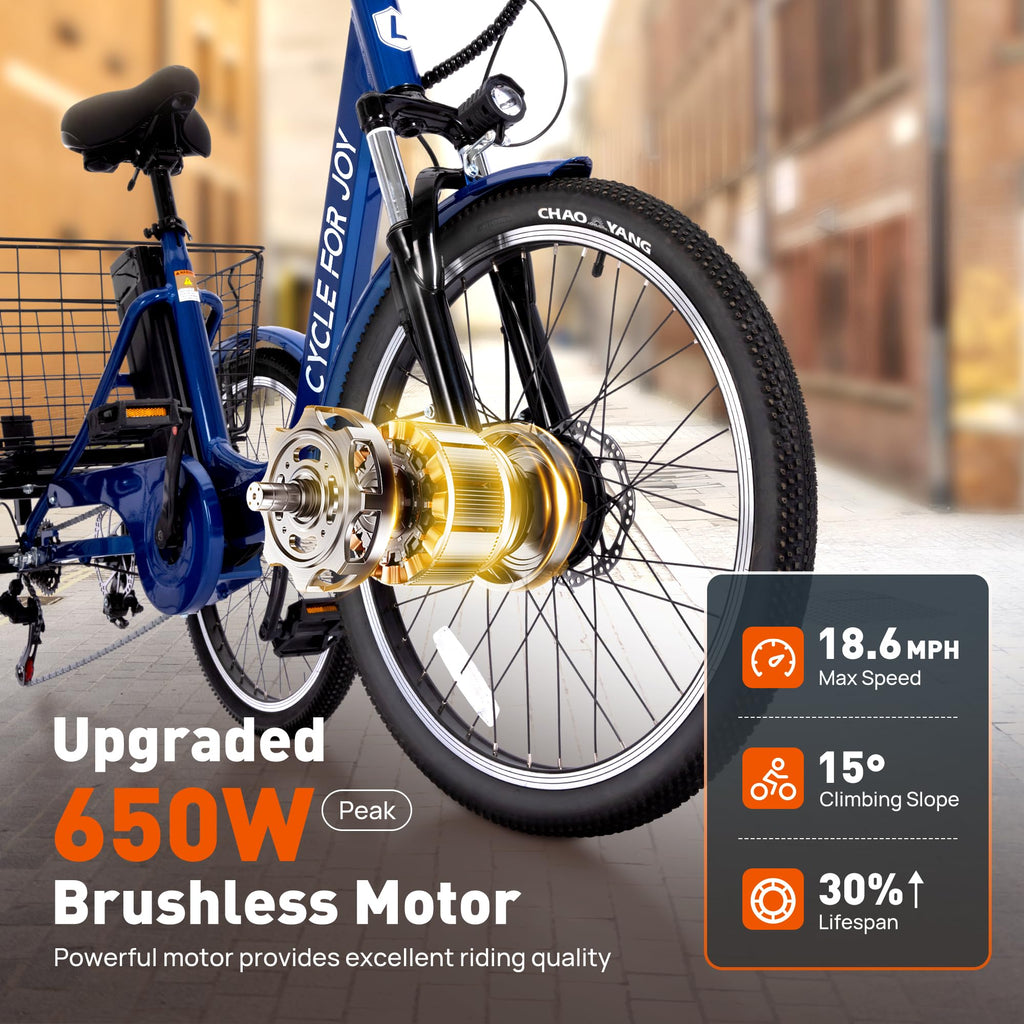 3 Wheel Electric Tricycle P9355