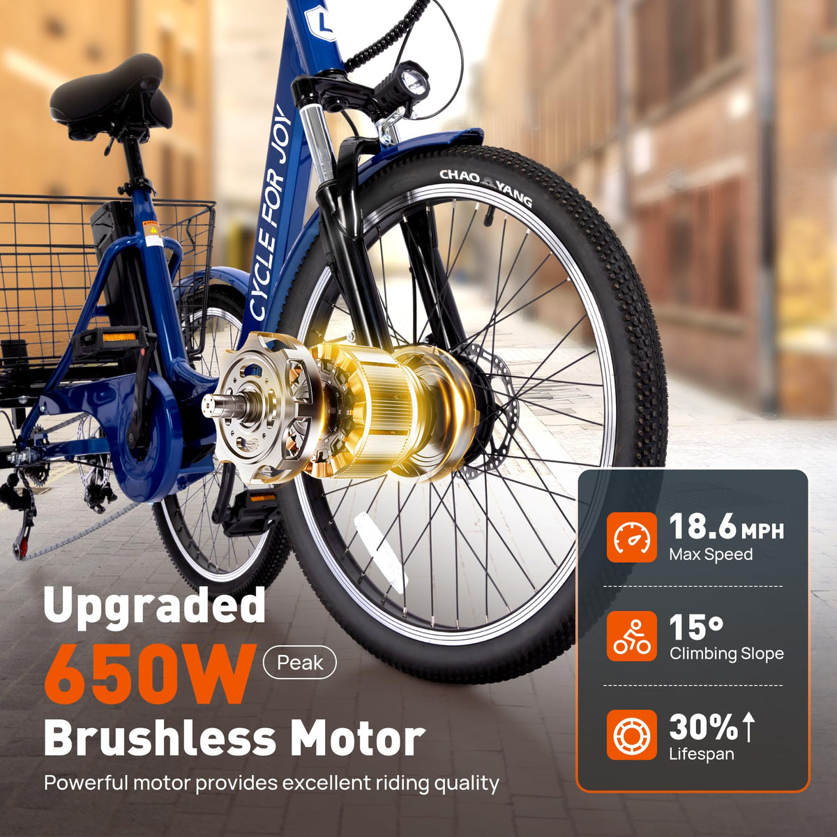 3 Wheel Electric Tricycle P9355