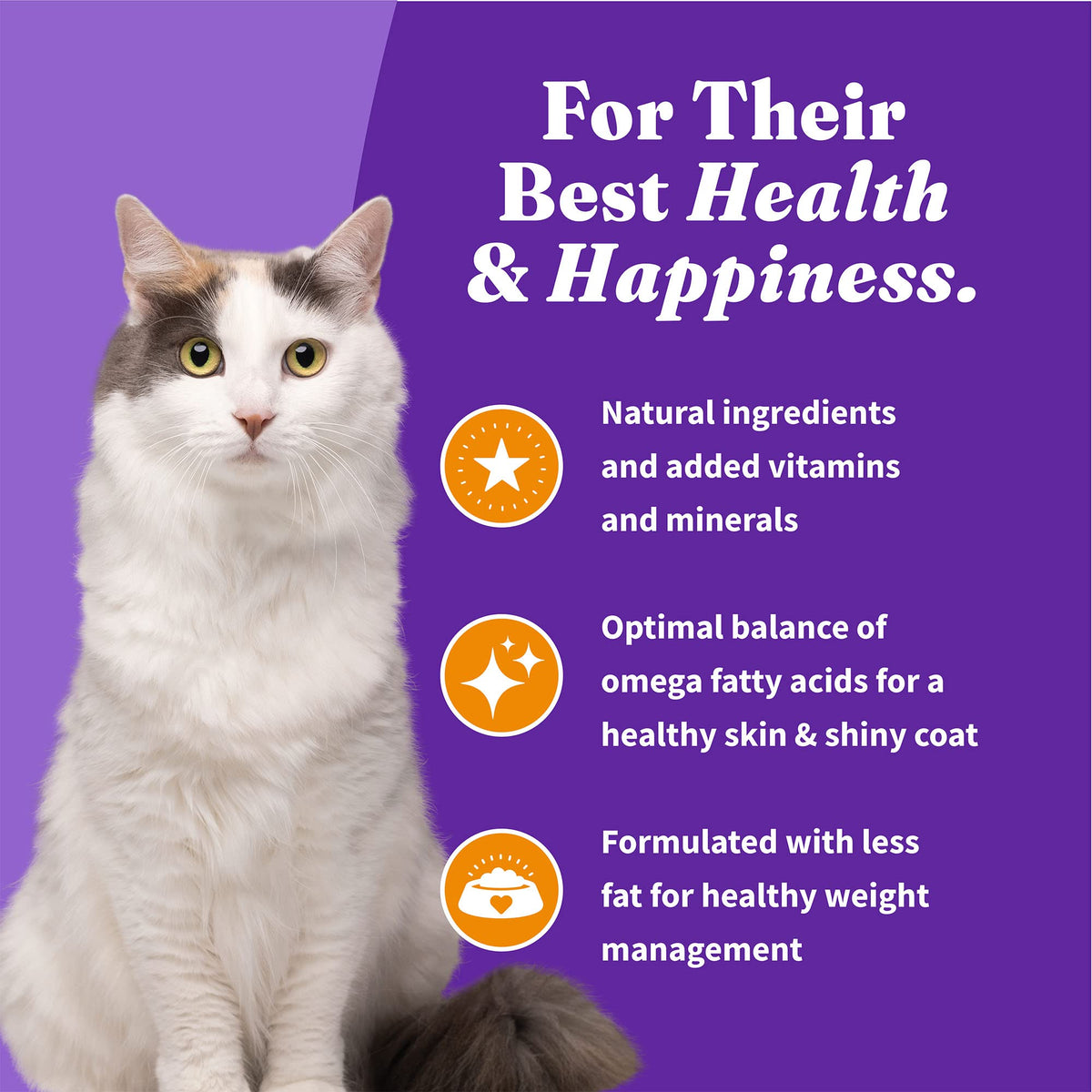 Indoor Dry Cat Food Cage-Free Chicken 6 lb G317359