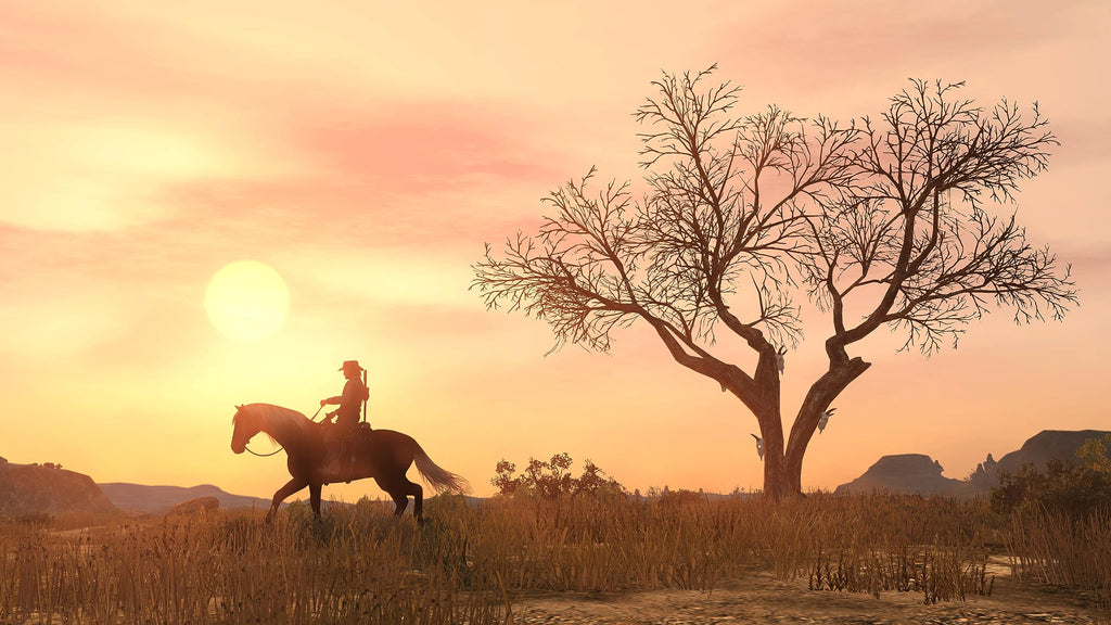 Red Dead Redemption PlayStation 4 Y193708