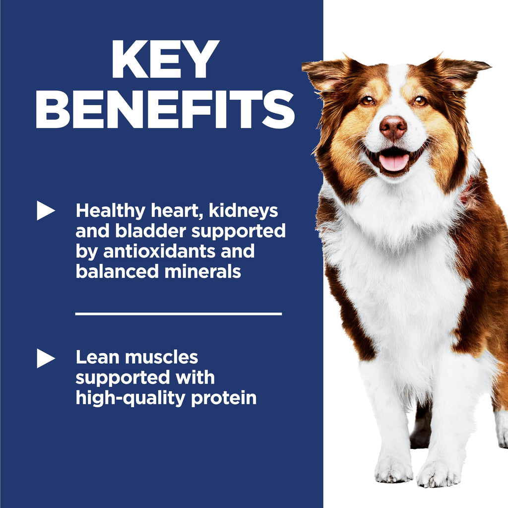 Dry Dog Food A20887