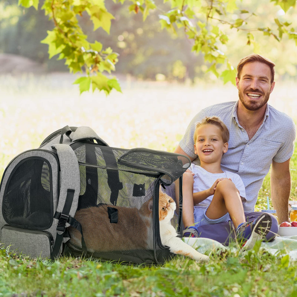 Dog Backpack Carrier with Fleece Mat N332295