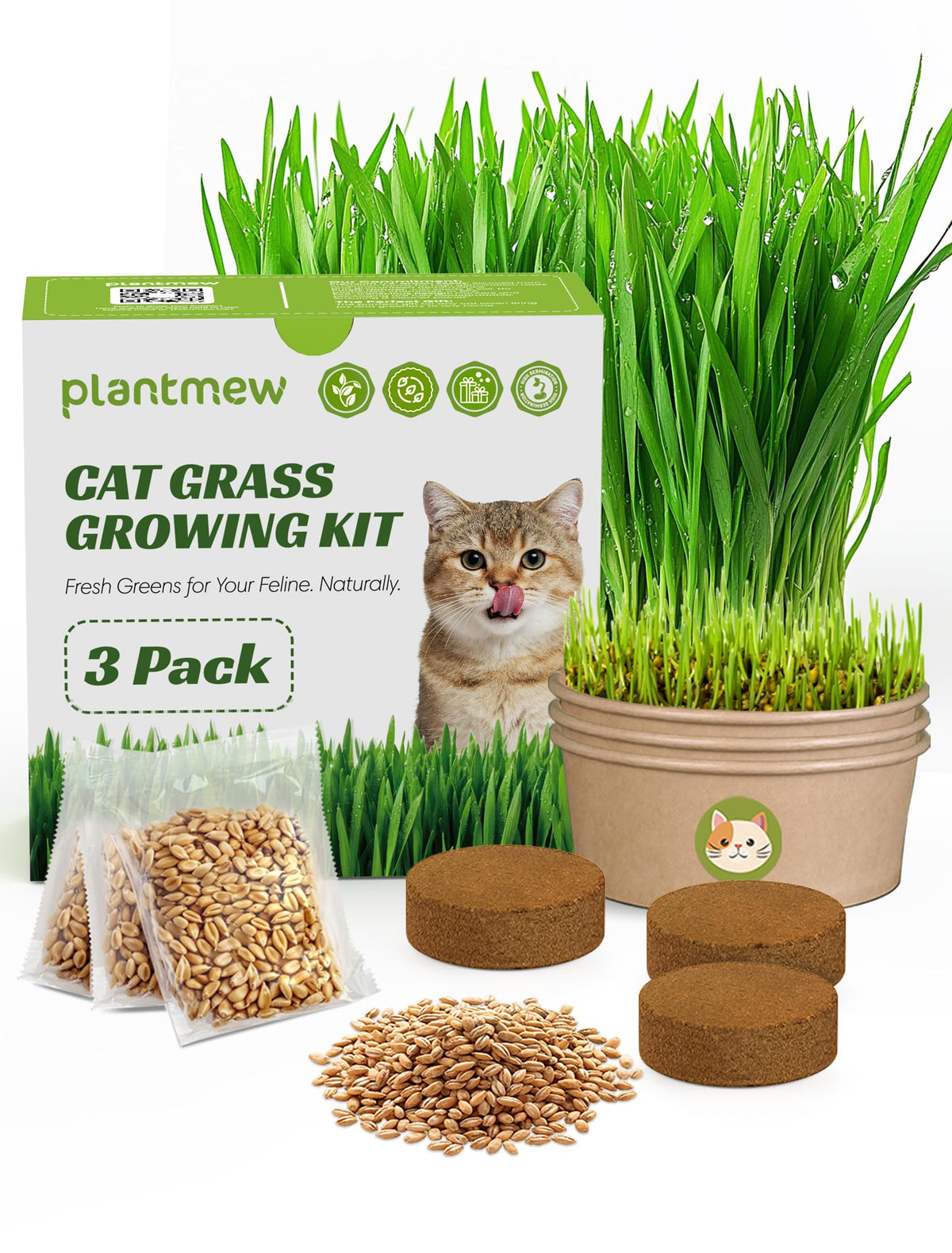 3 Pack Cat Grass Kit with Biodegradable Pots, Soil & Seeds W238131