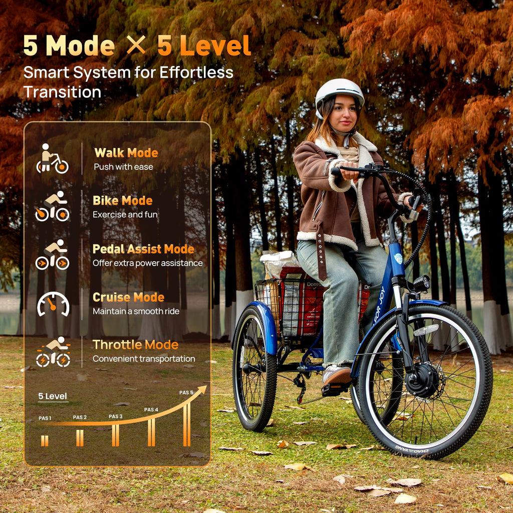 3 Wheel Electric Tricycle P9355